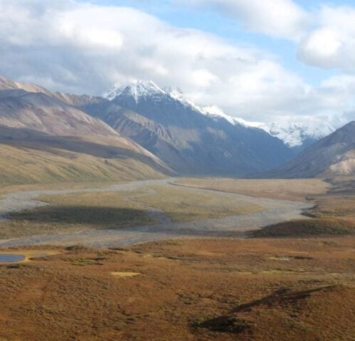 3 days in denali national park