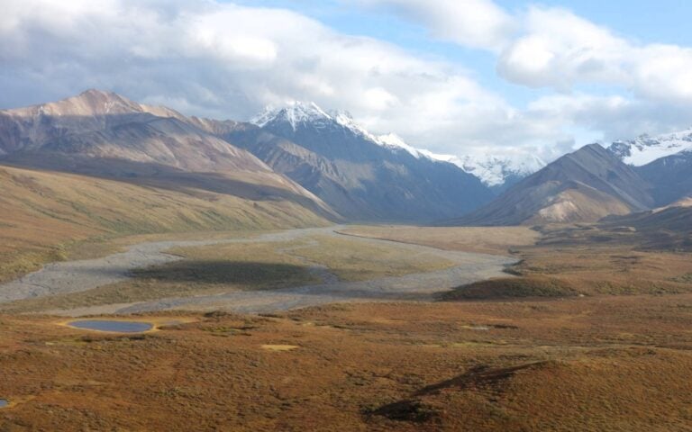 Denali from the park road
