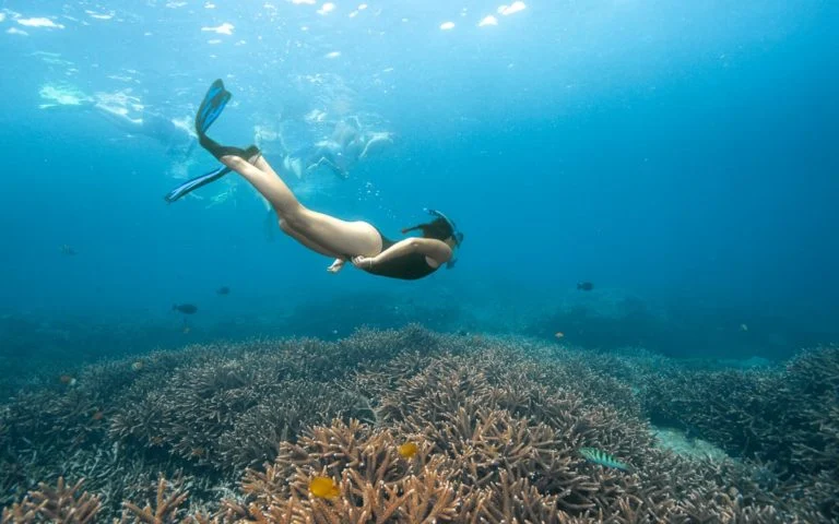 Snorkeling at Nusa Penida