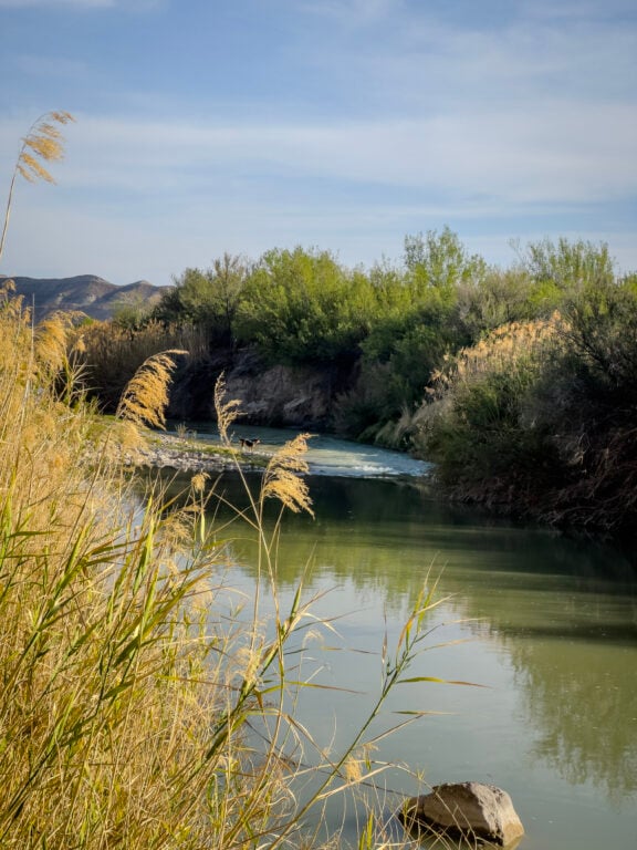 Is Big Bend Worth Visiting? My Personal Take From A 2026 Visit View of the rio grande in big bend national park
