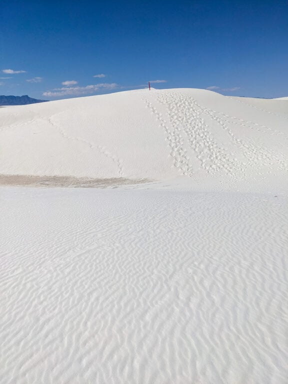 One Day In White Sands: The Perfect Itinerary Going up a dune