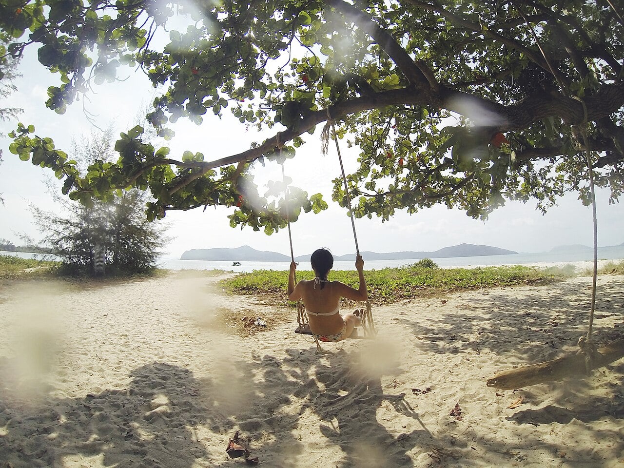 Koh Tao Vs Koh Samui: Which Island Should You Pick? Beach swing hanging from a tree on a koh samui beach